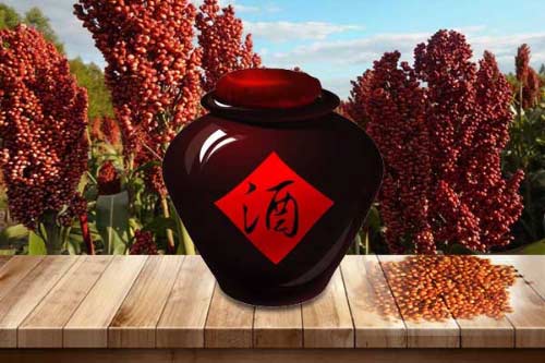 为什么众多高端白酒都是选择高粱酿制酒1.jpg