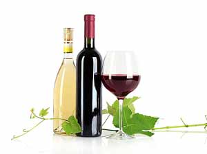 为什么酱香型白酒总酸总酯高?